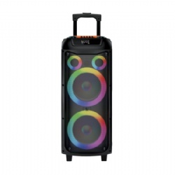 Double 8 inch Bluetooth speaker
