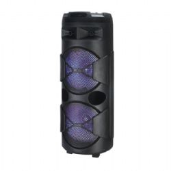 Double 12 inch plastic battery speaker